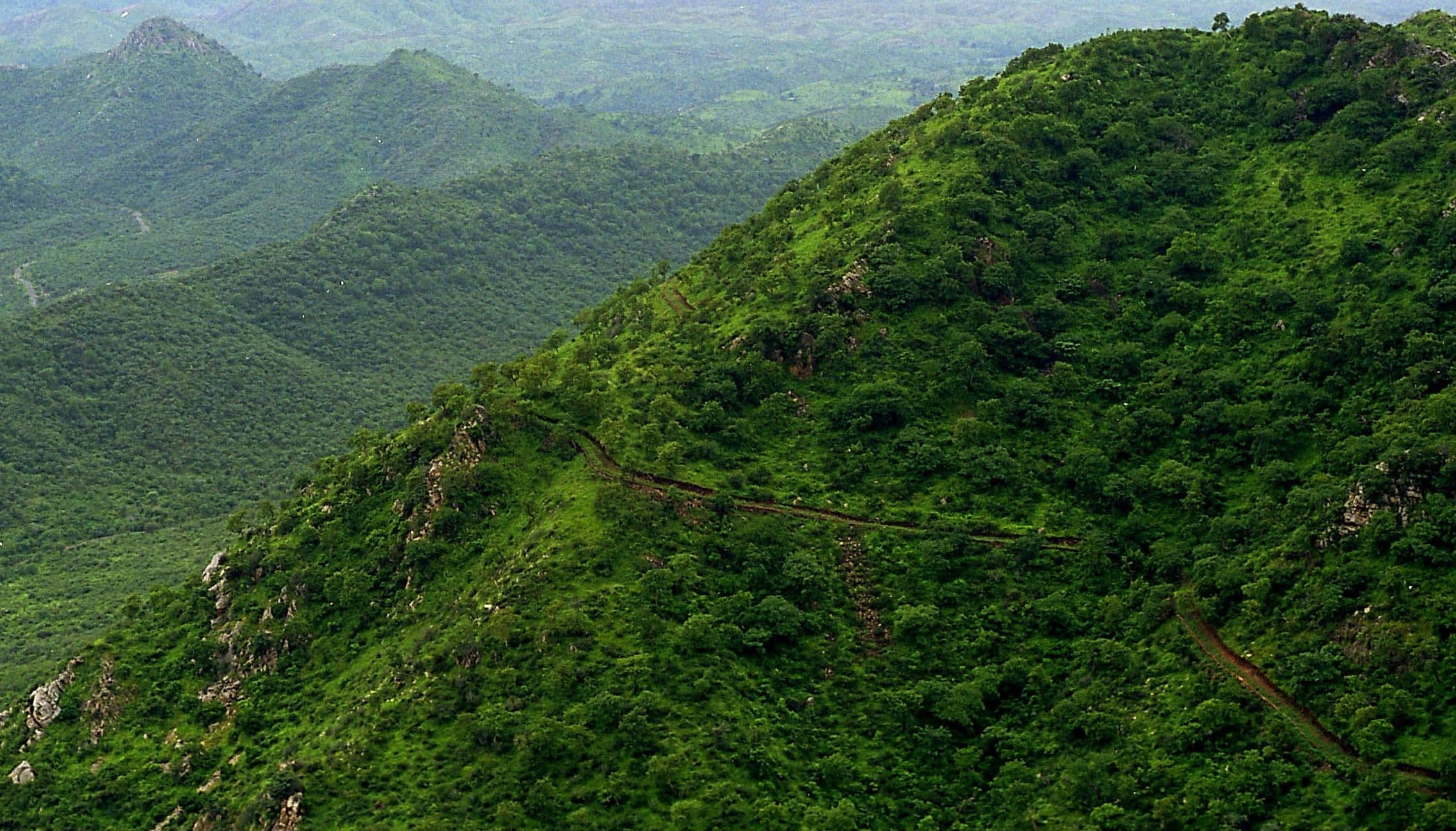 GREEN BELT